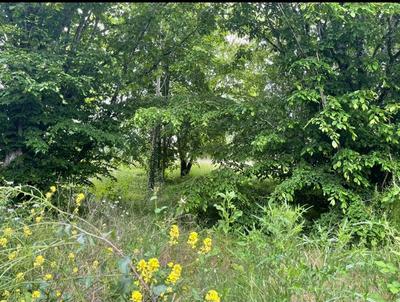 Terrain constructible - 1 700 m²