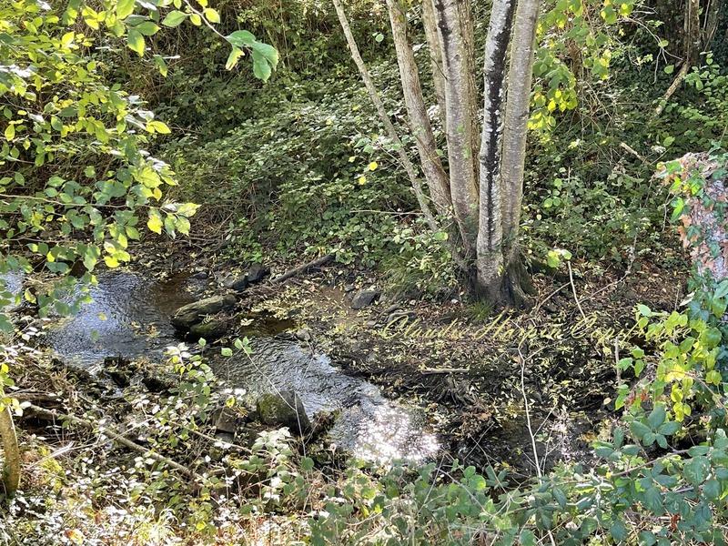 Longère - 183 m² - 5 pièces