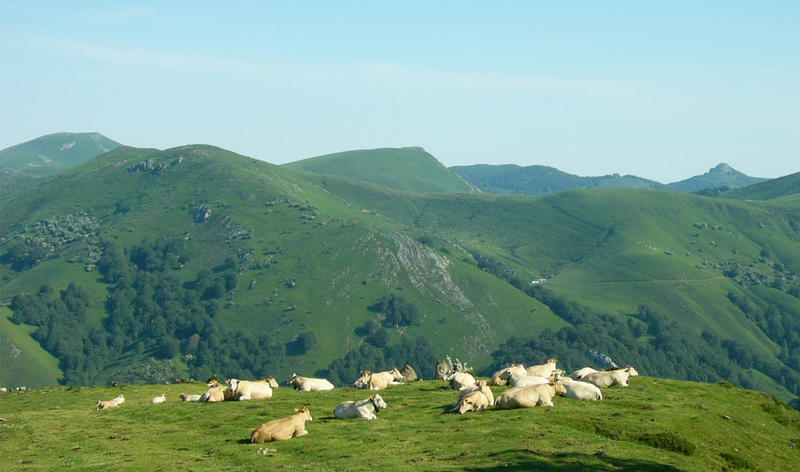Evènement Cpie Pays Basque : "Irati dévoile ses secrets"
