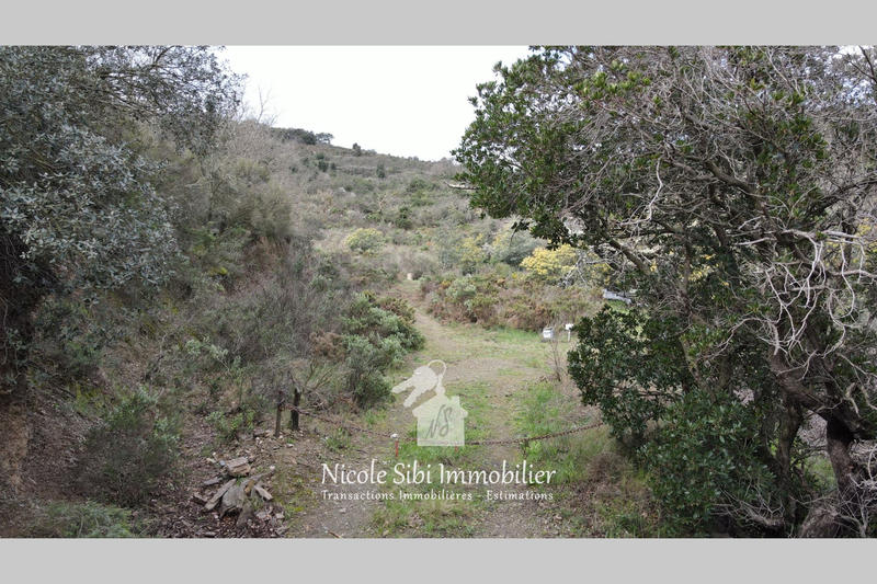 Terrain - 54 574 m²