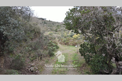 Terrain - 54 574 m²