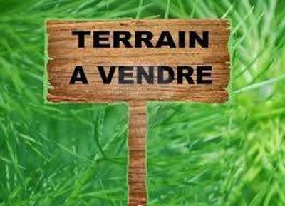 Terrain - 550 m²
