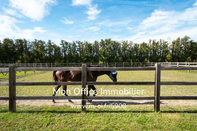 Maison - 340 m² - 7 pièces