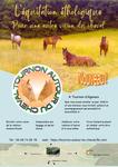 Tournon autour du Cheval