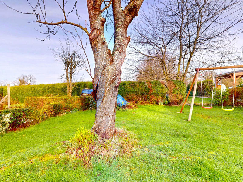 Viager - Maison - 170 m² - 8 pièces