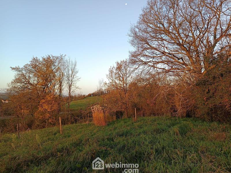 Ferme - 261 m² - 13 pièces