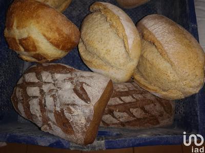 Local commercial - 178 m²