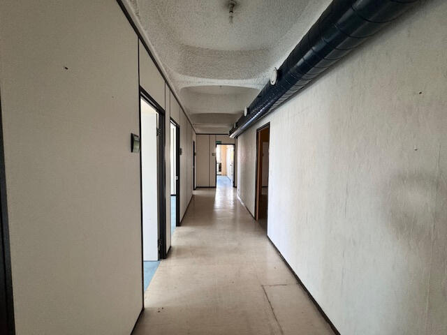 Appartement - 53 m² - 1 pièce