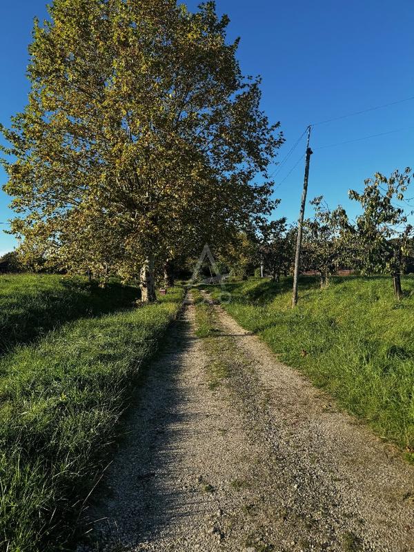 Propriété viticole - 129 m² - 5 pièces