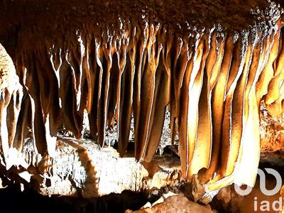 Maison - 200 m² - 10 pièces