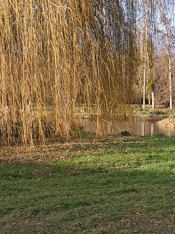 Maison traditionnelle - 80 m² - 5 pièces