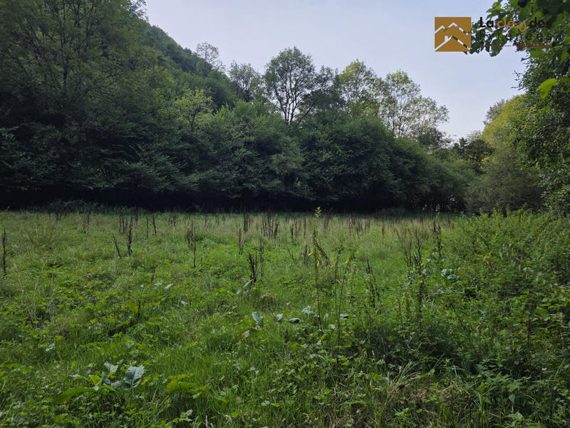 Maison ancienne - 100 m² - 2 pièces