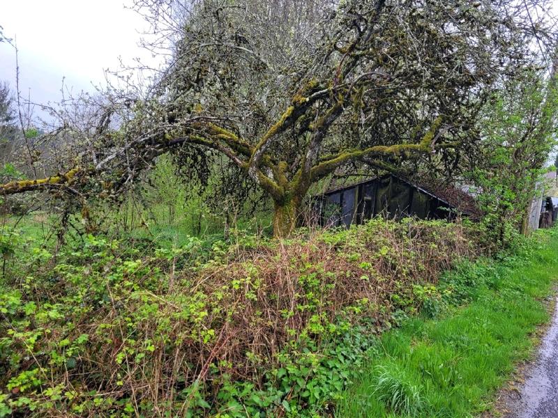 Fermette - 55 m² - 4 pièces