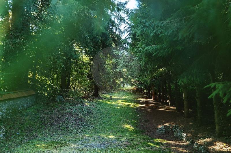 Maison en pierre - 140 m² - 7 pièces