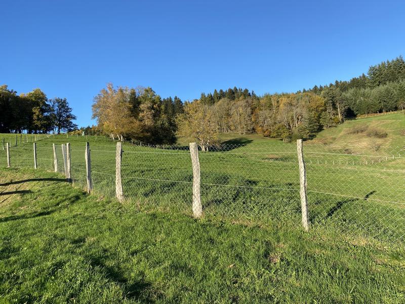 Maison ancienne - 300 m² - 7 pièces