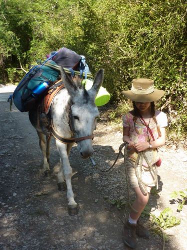 Sherp'Ânes les ânes du Causse