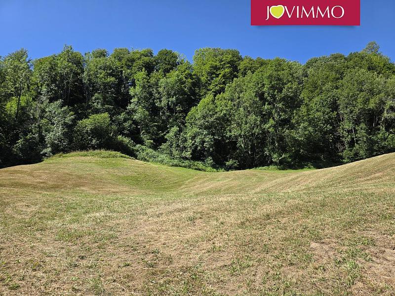 Maison - 50 m² - 1 pièce