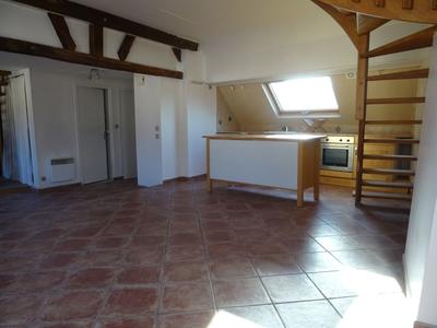 Appartement - 50 m² - 1 pièce