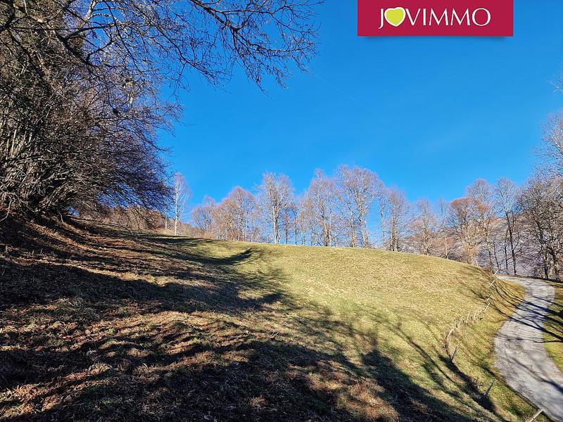 Maison - 50 m² - 1 pièce