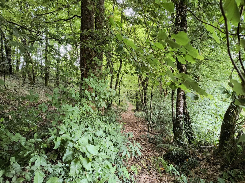 Maison - 156 m² - 6 pièces