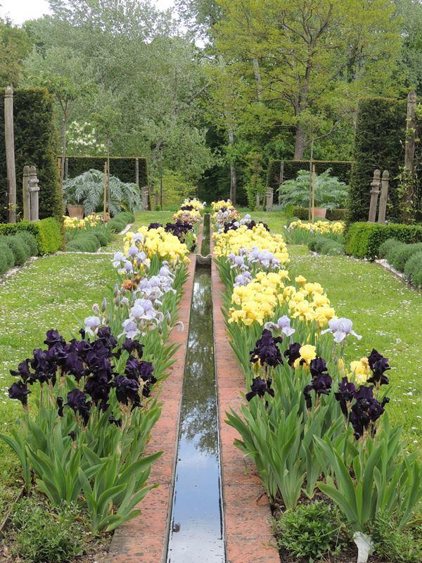 Découvrez les Iris au Domaine de Poulaines