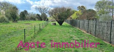 Maison de village - 100 m² - 4 pièces