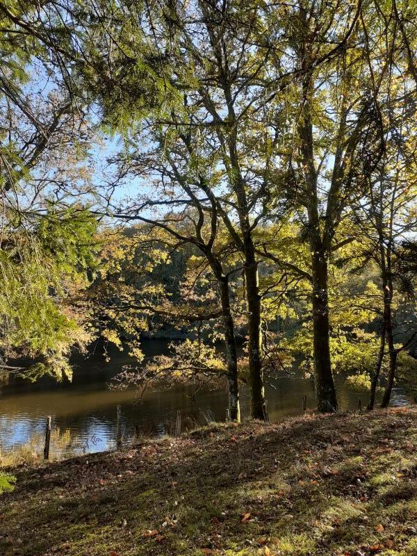 Maison - 31 m² - 2 pièces