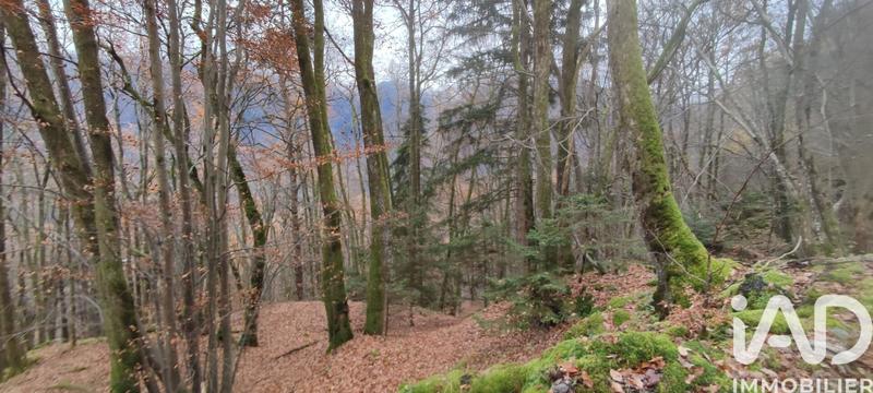 Terrain - 61 700 m²