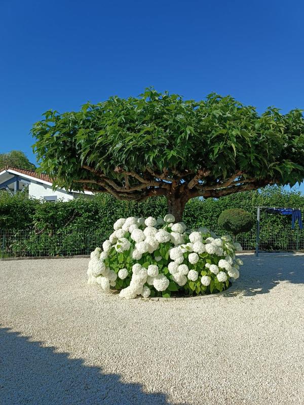 Maison contemporaine - 104 m² - 5 pièces