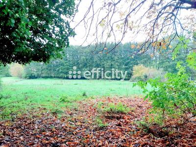 Maison - 99 m² - 4 pièces