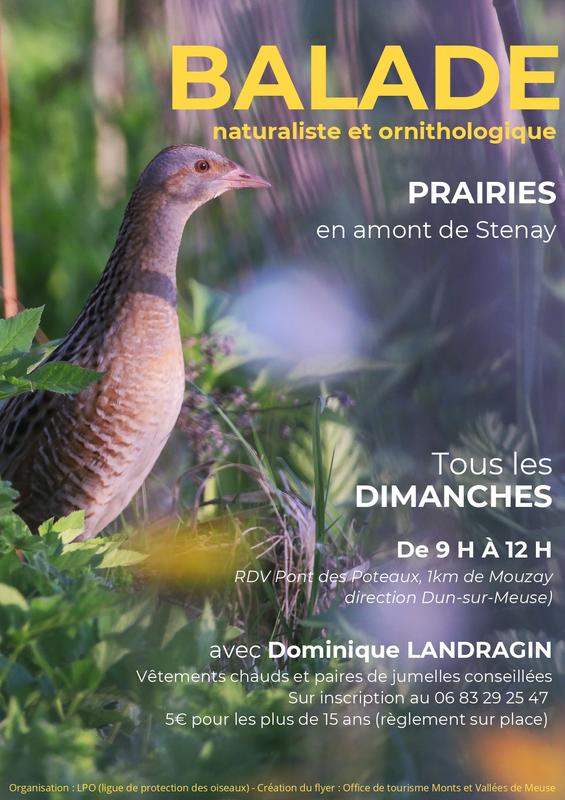 Balade naturaliste et ornithologique