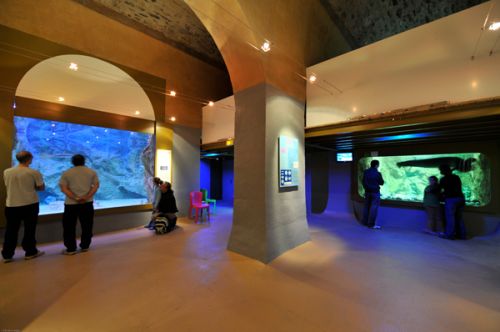 Aquarium du Limousin