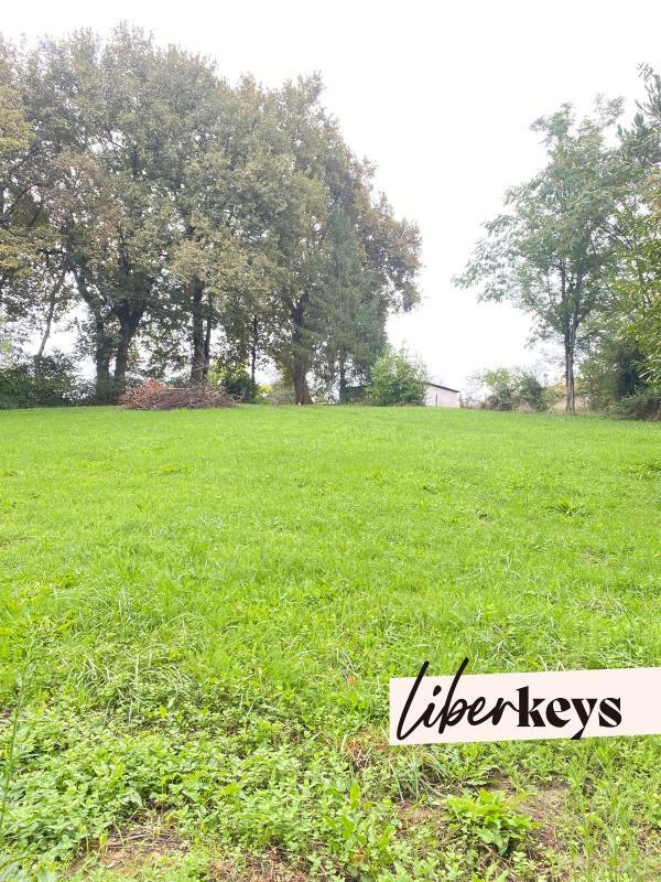 Terrain - 12 800 m²