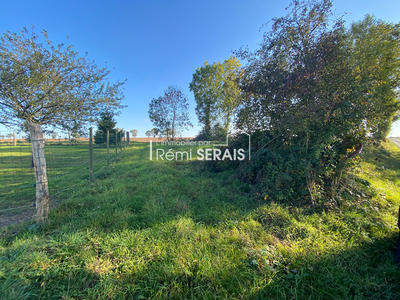 Terrain - 5 298 m²