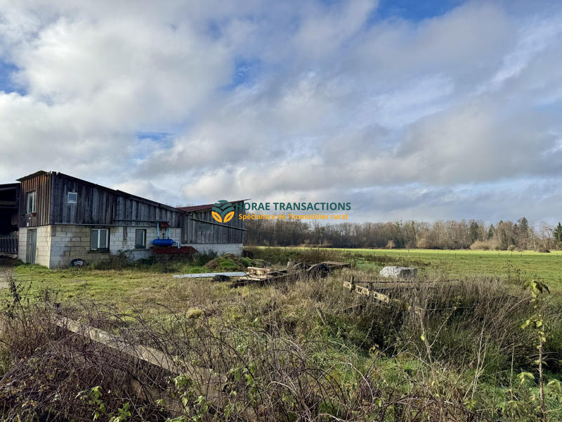 Ferme - 600 m² - 1 pièce