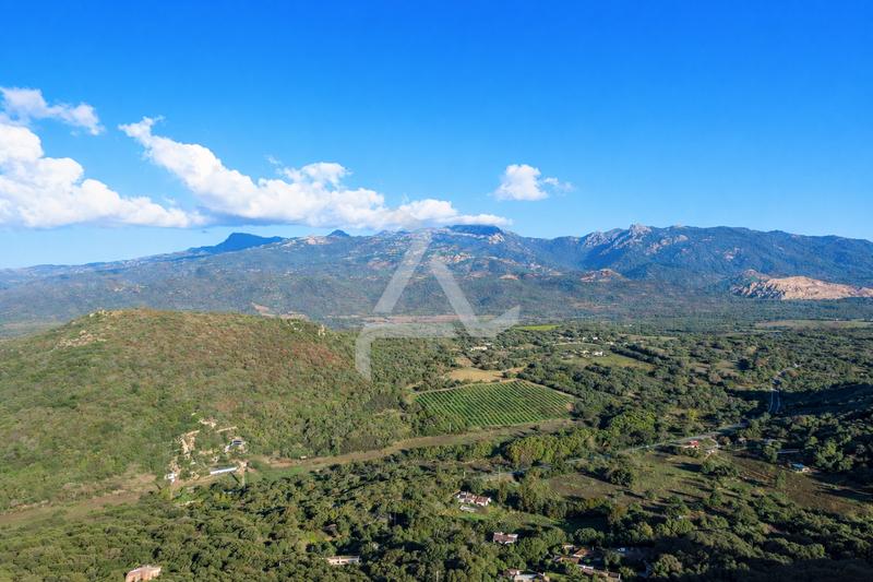 Terrain - 8 400 m²