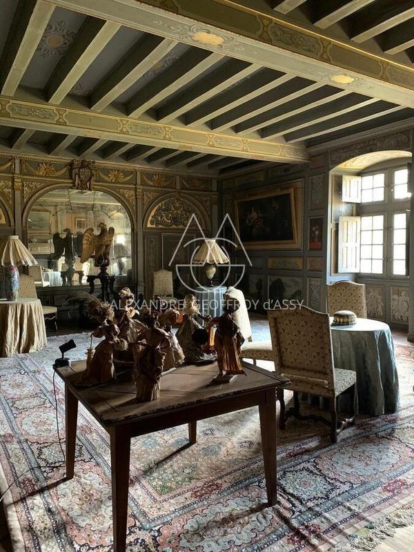 Château - 1 100 m² - 19 pièces