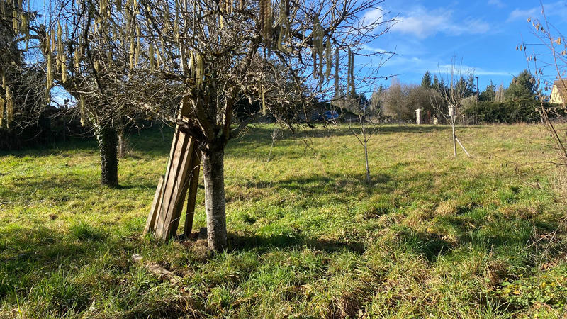 Terrain constructible - 1 228 m²