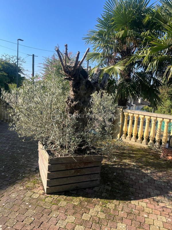 Maison traditionnelle - 175 m² - 6 pièces