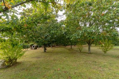 Maison - 144 m² - 9 pièces