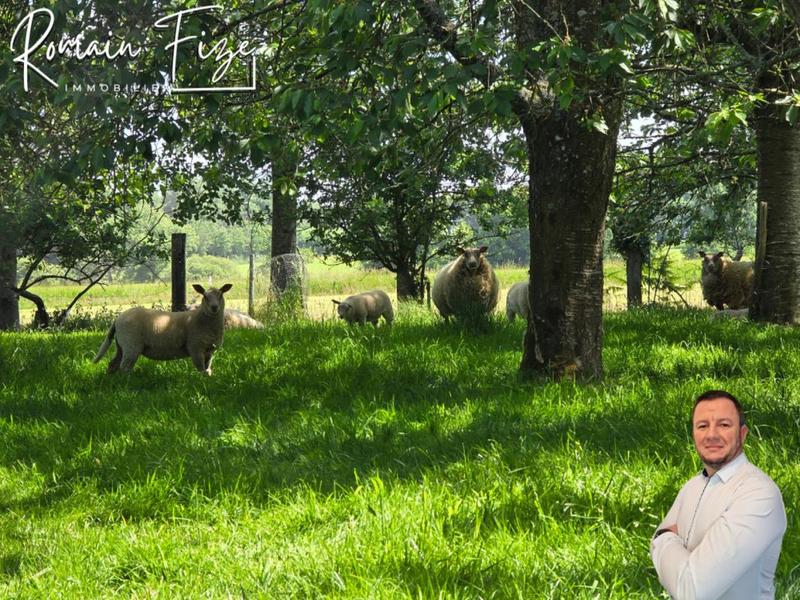 Maison - 277 m² - 4 pièces