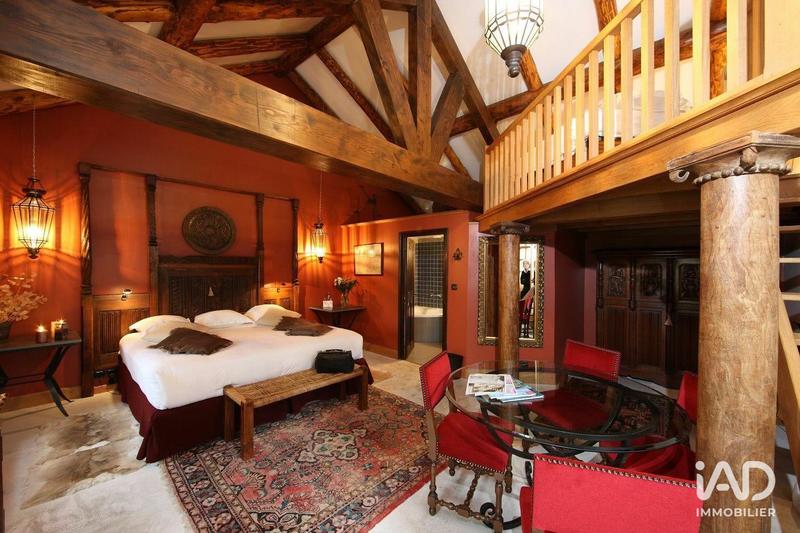 Château - 700 m² - 21 pièces