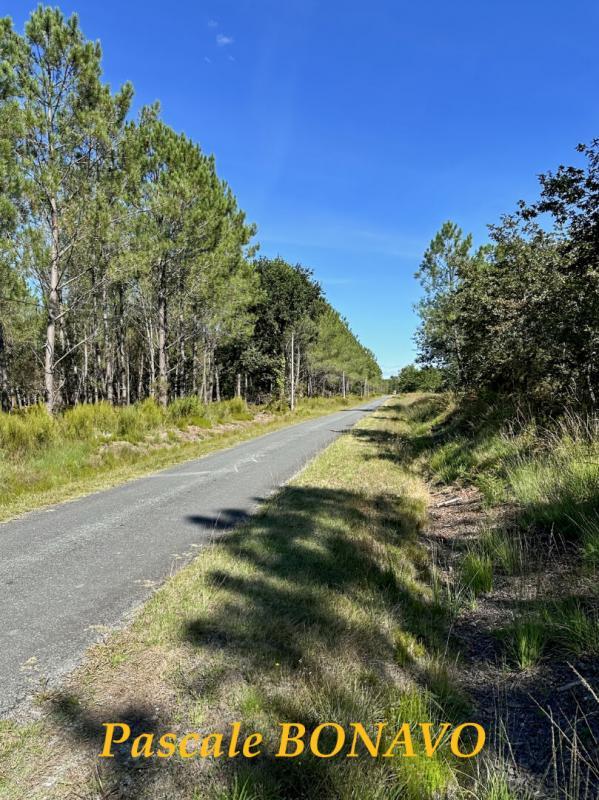 Terrain de loisirs - 2 770 m²