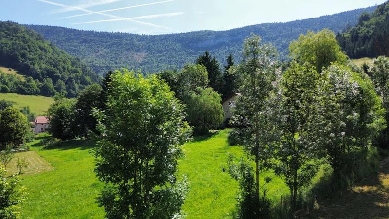 Terrain constructible - 1 981 m²