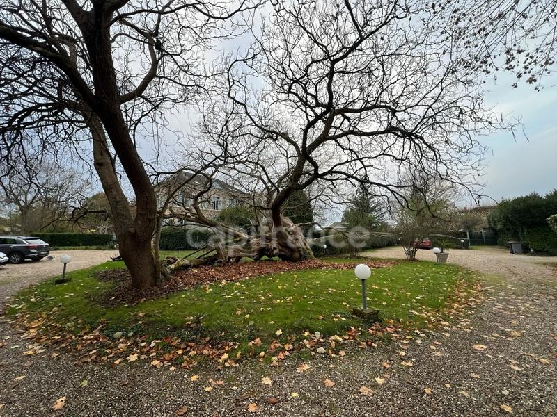 Appartement - 90 m² - 4 pièces