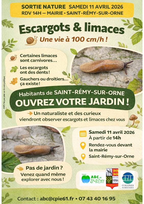 Escargots &amp; limaces : une vie à 100 cm/h !