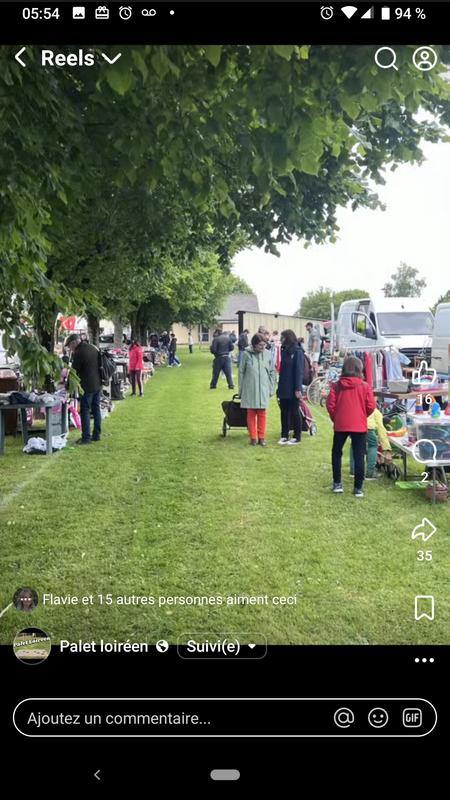Vide grenier du palet loiréen