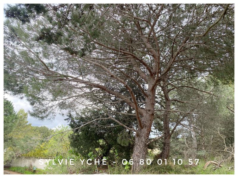 Villa - 115 m² - 4 pièces