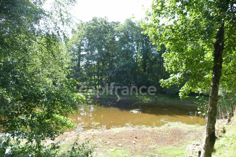 Maison - 30 m² - 2 pièces