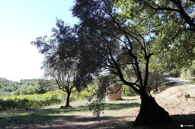 Villa - 93 m² - 3 pièces